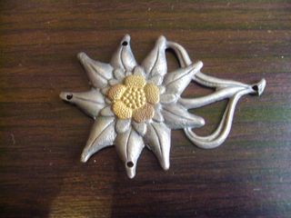 Insignia Edelweiss Gorra Gebirgsjäger Original