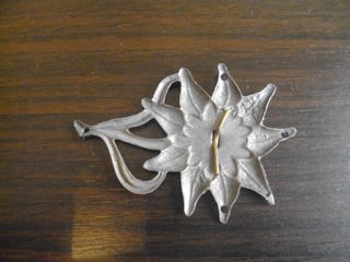Insignia Edelweiss Gorra Gebirgsjäger Original
