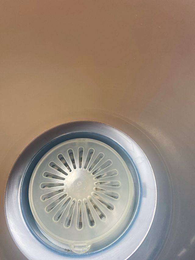 Vaporizador Facial Higienizador