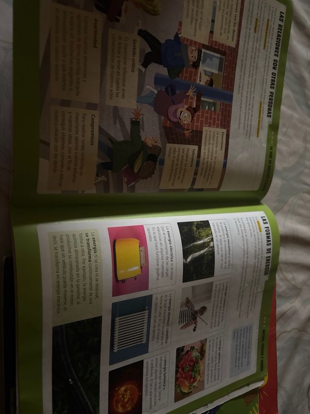 Proyecto: FanFest. Ciencias de la Naturaleza 6 ...