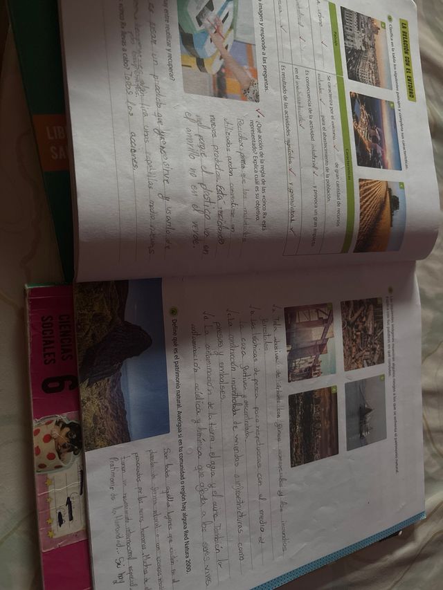 Proyecto: FanFest. Ciencias Sociales 6 [Comunid...