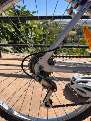 Bicicleta Aluminio