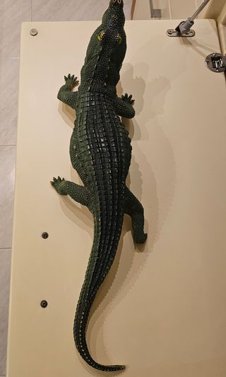 Riproduzione Coccodrillo giocattolo /toy  bambino