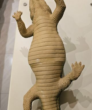 Riproduzione Coccodrillo giocattolo /toy  bambino
