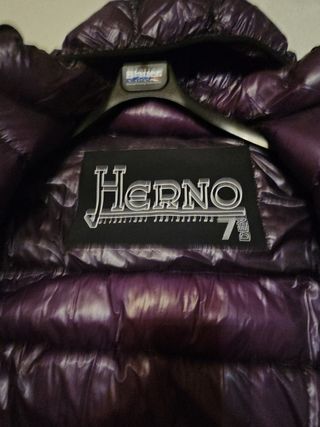 Plumas Herno Morado Original