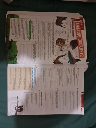 Workbook Options 3ESO 
9789925309078