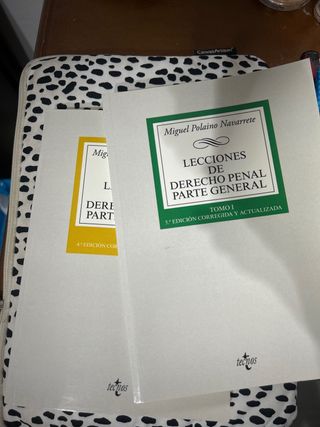 Lecciones de Derecho penal Parte general: Tomo I