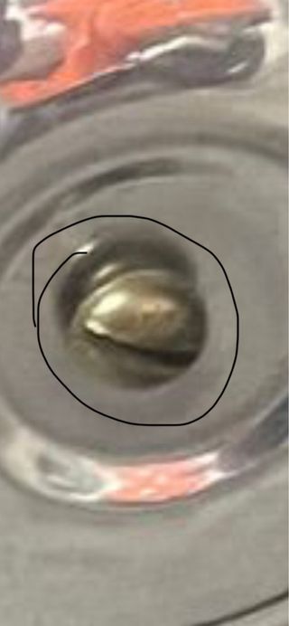 Tambor Rueda Vespa Llanta 8