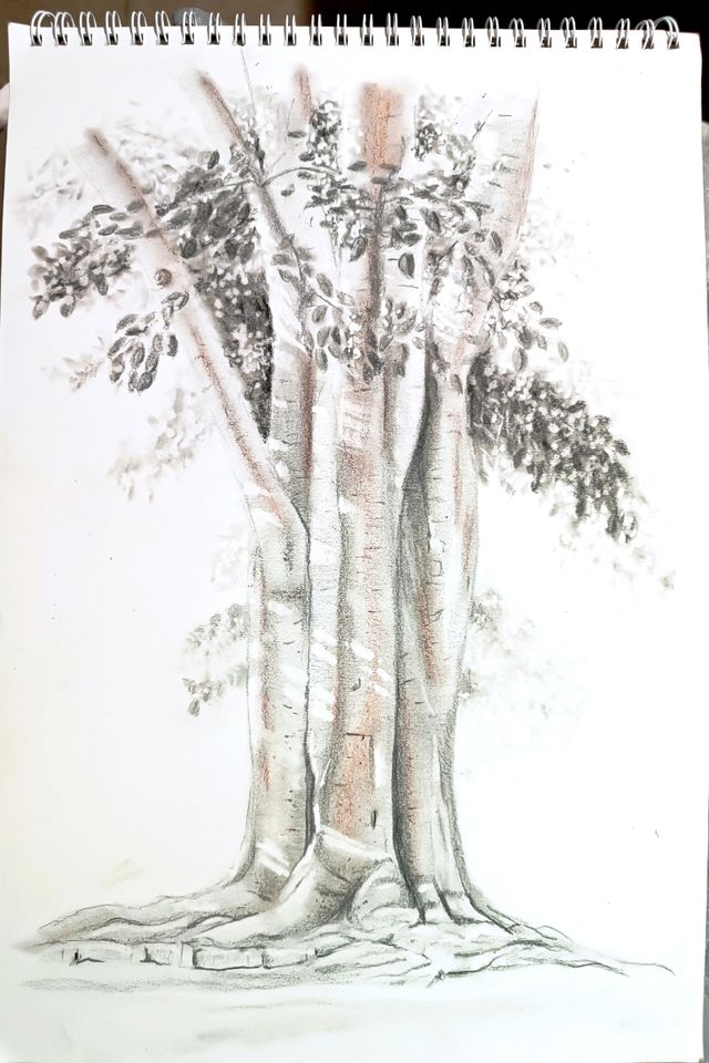Dibujo original de árbol con raíces