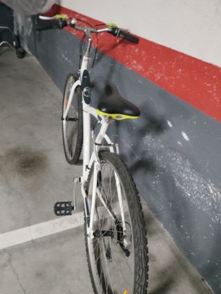 Bicicleta Paseo Adulto