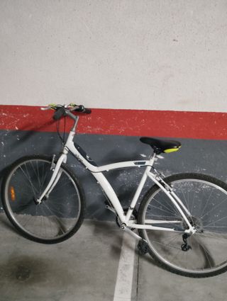 Bicicleta Paseo Adulto