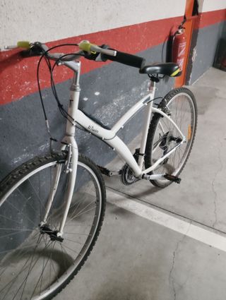 Bicicleta Paseo Adulto