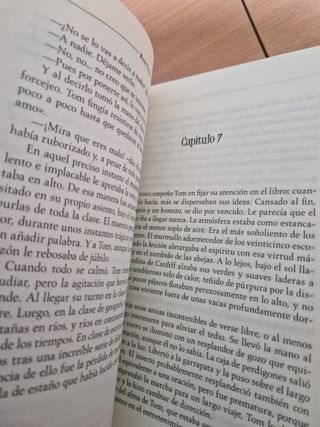 Libro: Las Aventuras de Tom Sawyer