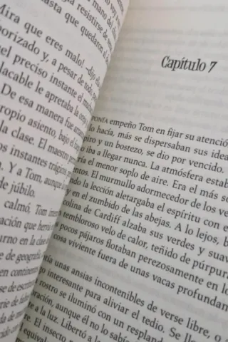 Libro: Las Aventuras de Tom Sawyer