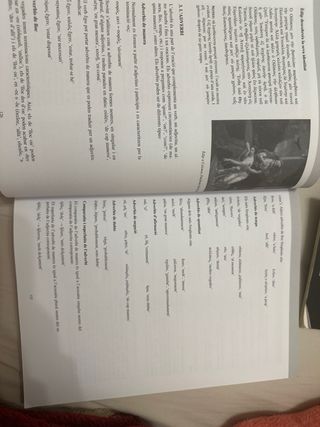 SELENE: Grec (Batxillerat) (Catalan Edition)
