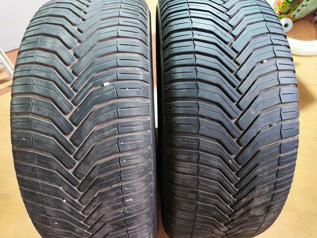 Neumático Michelin Crossclimate 225/50 R17 98V