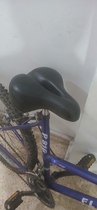 Bicicleta de montaña morada