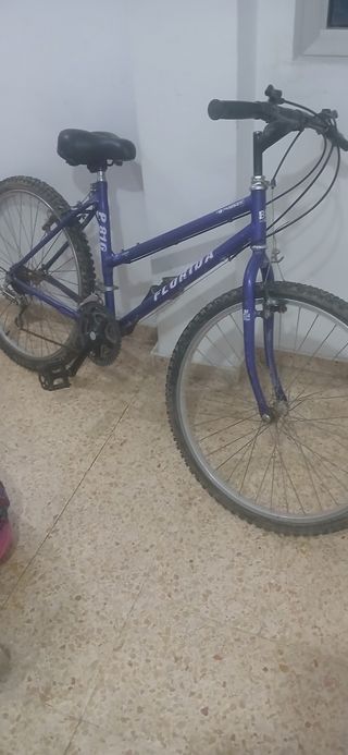 Bicicleta de montaña morada