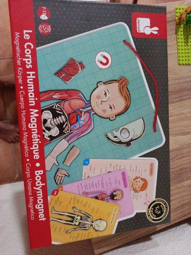 Puzzle magnetico per il corpo umano Janod