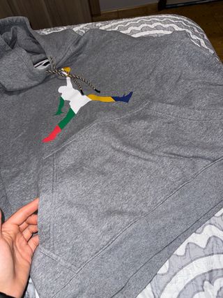 Sudadera Jordan Gris con Logo