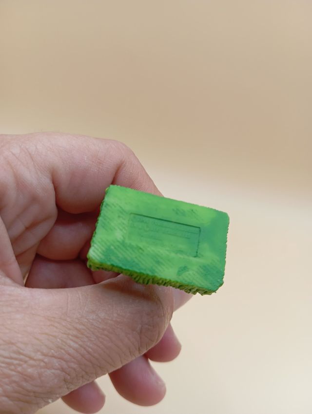 Grovyle • Pokémon Nintendo