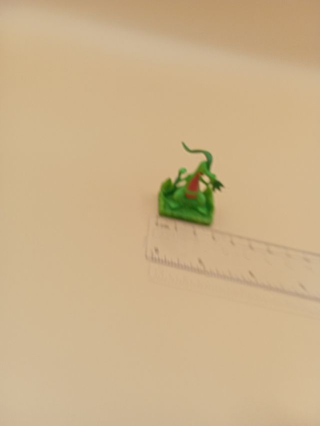 Grovyle • Pokémon Nintendo