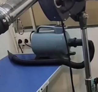 Secador Expulsador Peluquería Canina