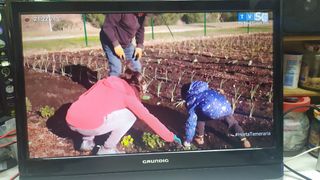 TV Grundig 22 LED HD T2 12V