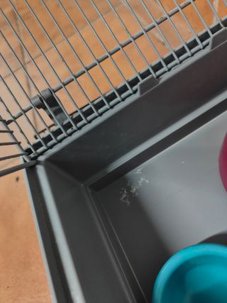 Jaulas para hámster