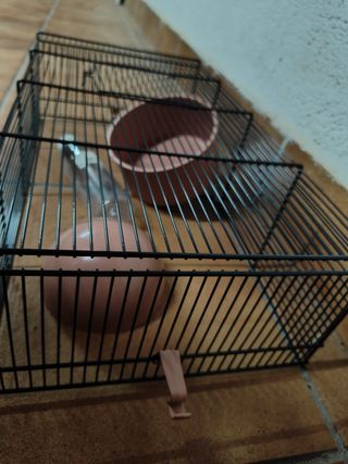 Jaulas para hámster