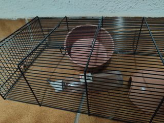 Jaulas para hámster