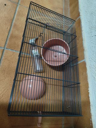 Jaulas para hámster