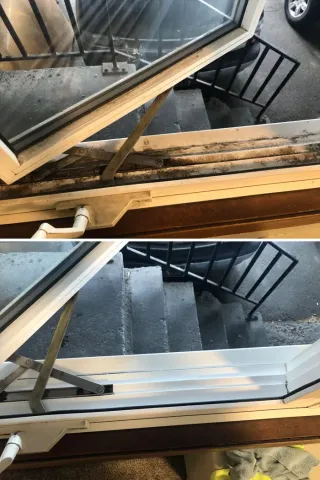 Servicio profesional de limpieza de casas