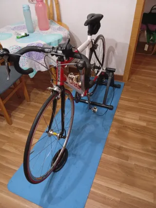 Bicicleta de carretera Orbea talla 53