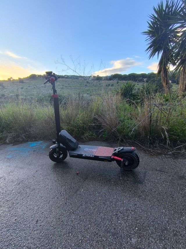 Patinete eléctrico ZWHEEL Z800