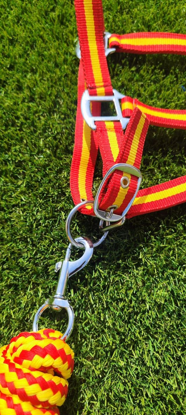 CABEZADA ESPAÑA + RAMAL A JUEGO NUEVO ENVÍO