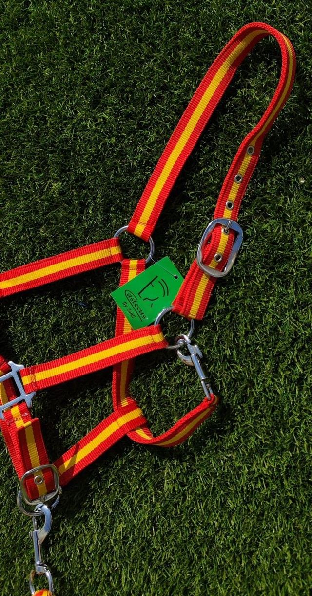 CABEZADA ESPAÑA + RAMAL A JUEGO NUEVO ENVÍO