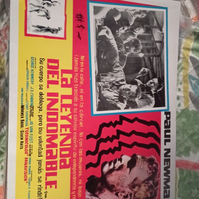 Cartel Película La Leyenda del Indomable