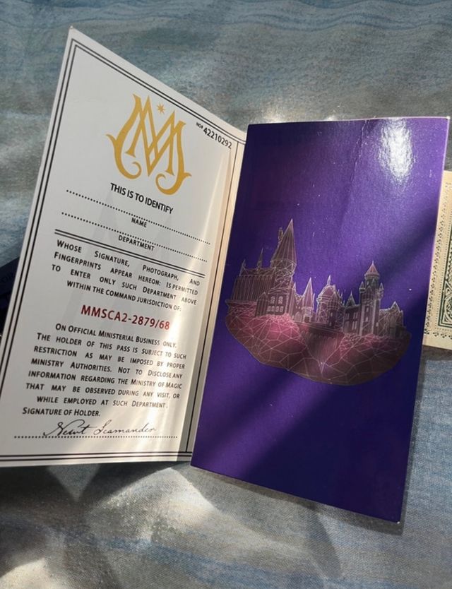 Pase Ministerio de Magia Harry Potter