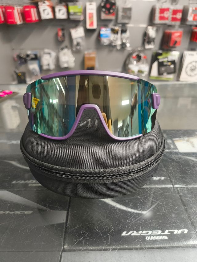 Gafas Smith Wildcat mirror