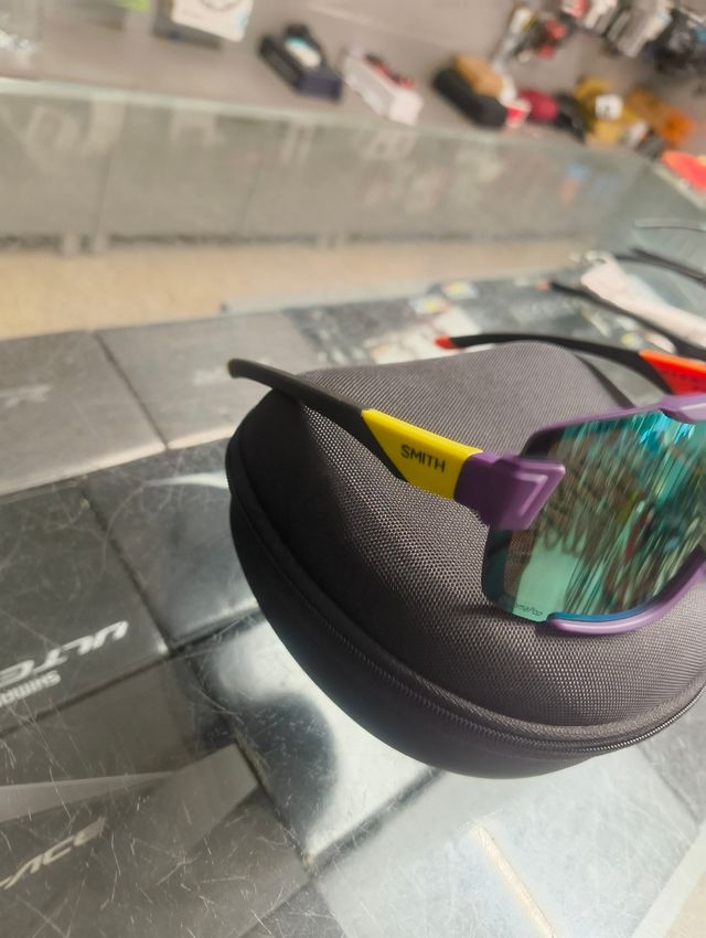 Gafas Smith Wildcat mirror