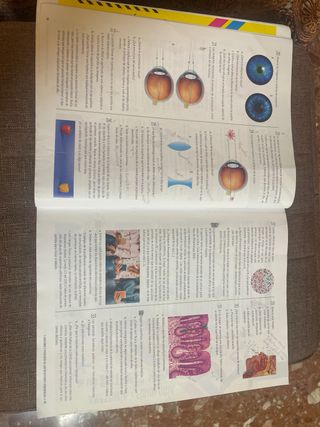 Proyecto: FanFest - Biología y Geología 3 ESO [...