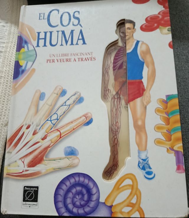 El cos huma