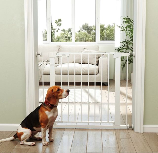 Barriera di sicurezza per bambini/animali 76-97cm