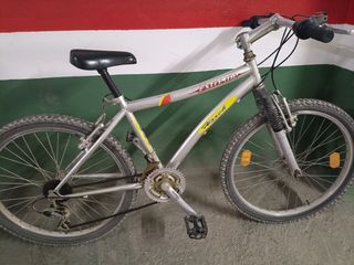 Bicicleta de montaña infantil