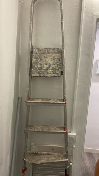 Escalera de mano metálica