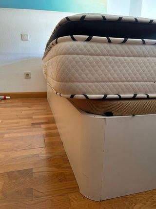 Canapé en buen estado y colchón seminuevo