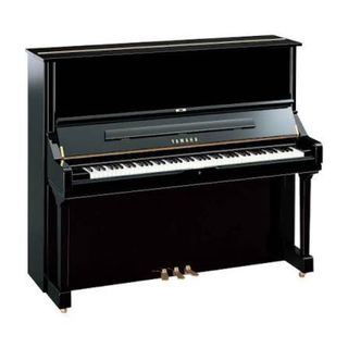 Clases de Piano y/o Teoría Musical