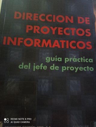 Direccion de Proyectos Informaticos (Spanish Ed...