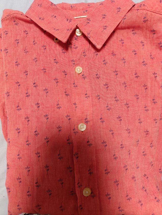 Lote pack 4 Camisas Hombre